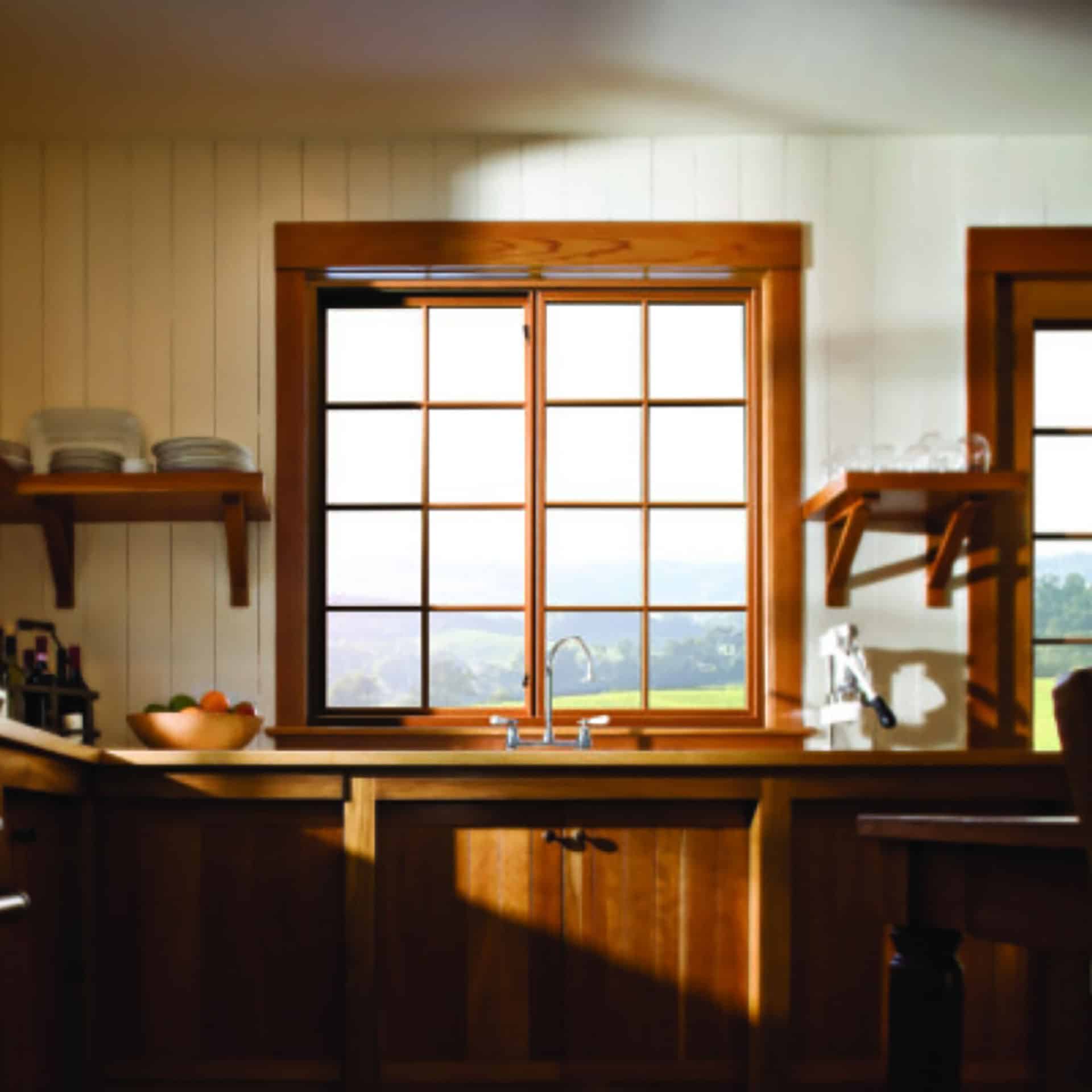 Weather Shield Windows